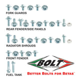 BOLT BODY WORK FASTENER KIT - BETA