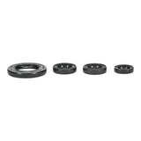 Oil Seal Kit 822395