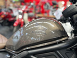 2023 HONDA CMX500 REBEL - GREY GOLD (Withdrawn)