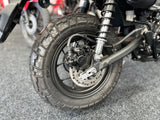 2023 HONDA MONKEY Z125 - BLACK (Withdrawn)